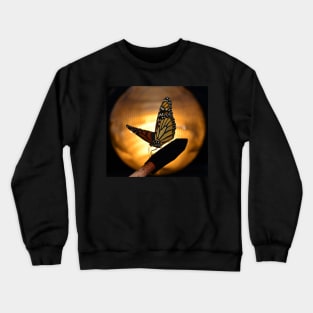 Monarch Butterfly Crewneck Sweatshirt